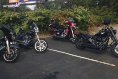 Irish Cottage Inn 4